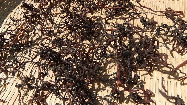 c0022275_17253434.jpg