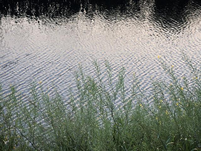 a0044076_17295410.jpg