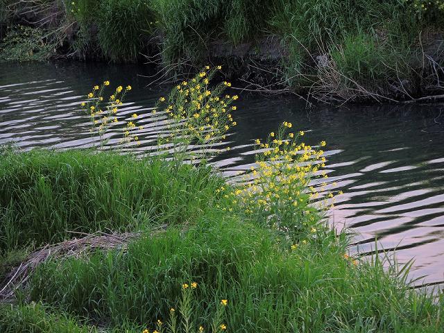 a0044076_17311438.jpg