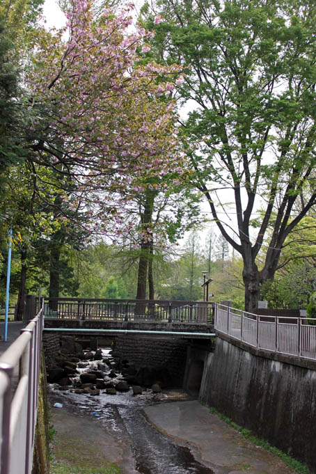 e0112077_4502347.jpg