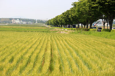 c0152779_2358487.jpg