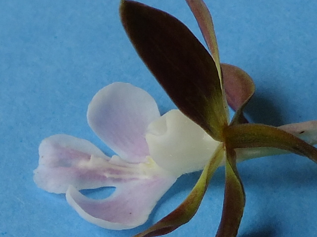 e0145782_20261259.jpg
