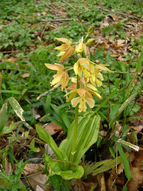 e0145782_2029177.jpg