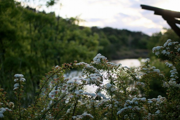 f0238184_2193315.jpg