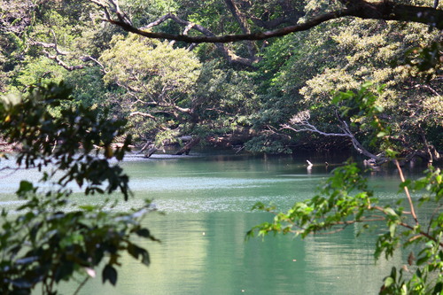 c0204385_02526.jpg