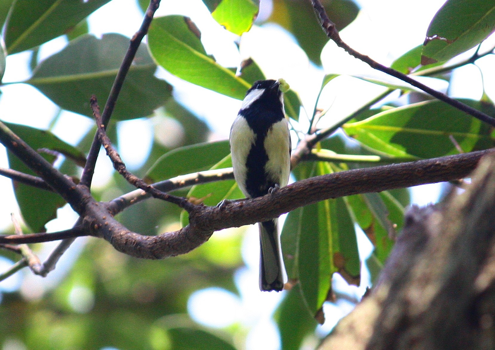 c0204385_0323384.jpg