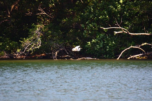 c0204385_033246.jpg