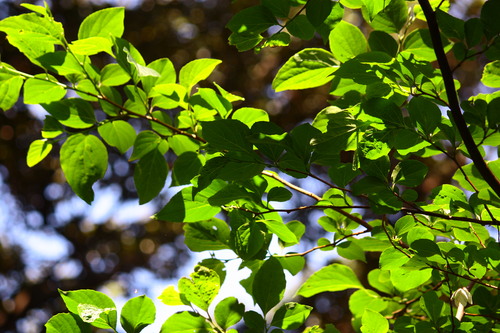 c0204385_0412956.jpg