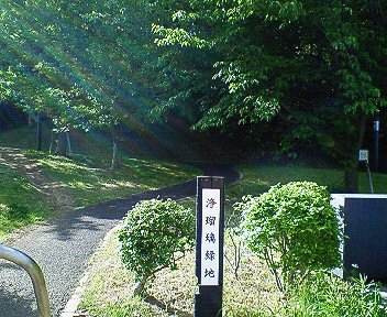 c0014187_136475.jpg