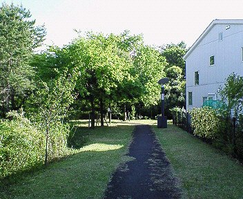 c0014187_139163.jpg