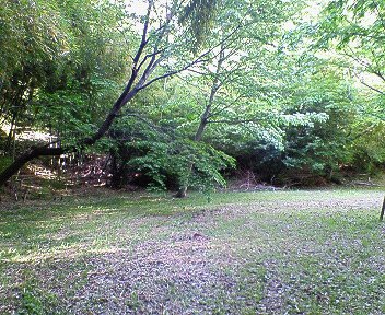 c0014187_1401475.jpg