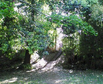 c0014187_1404773.jpg