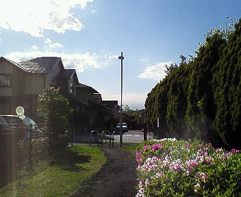c0014187_141955.jpg
