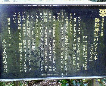 c0014187_1545723.jpg