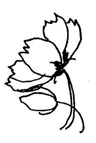 b0162388_21552494.gif