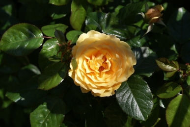 d0166389_13172539.jpg