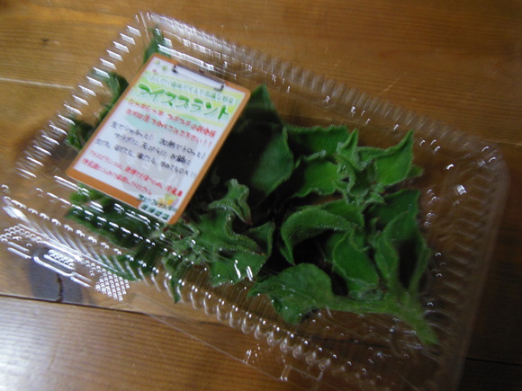 a0230192_1383219.jpg