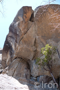c0173794_913856.jpg