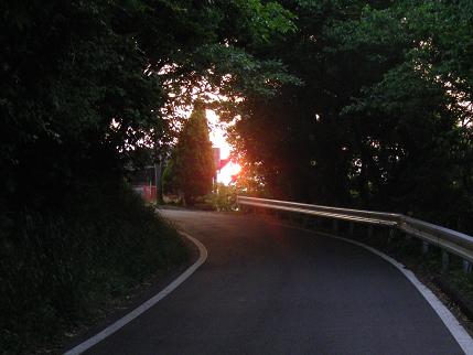 e0048994_1084285.jpg