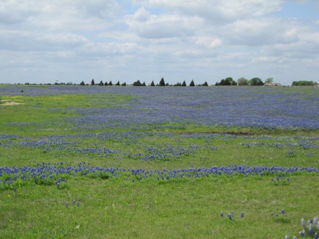 e0171595_11481779.jpg