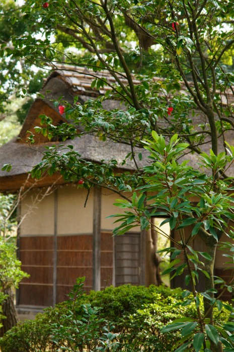 b0145398_2212536.jpg