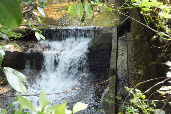b0212898_15482959.jpg