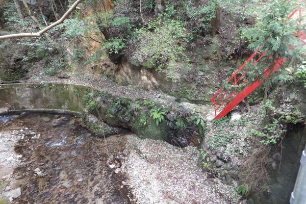 b0212898_1556047.jpg