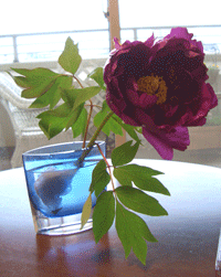 f0277298_14324543.gif