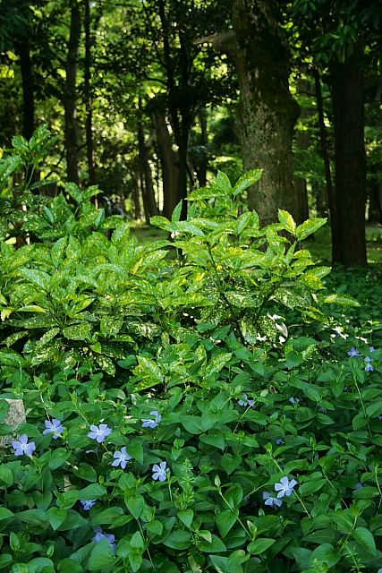 f0083400_19415578.jpg
