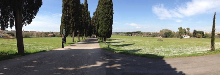 a0060003_544937.jpg