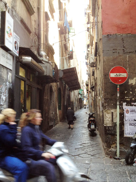 a0060003_6353539.jpg