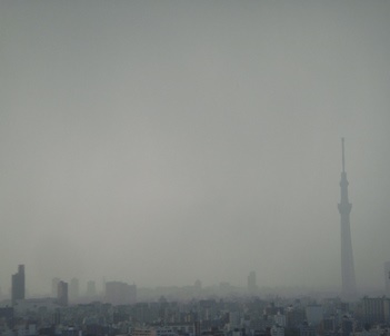 a0167803_10545018.jpg