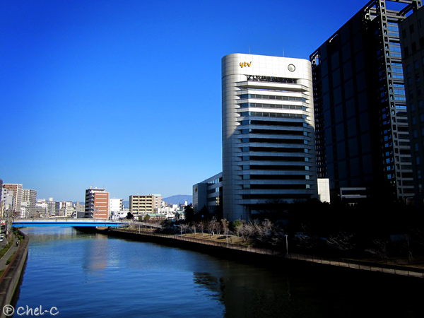 a0154706_12235751.jpg