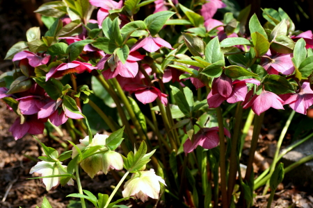 f0041606_17235337.jpg