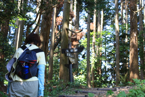 b0093515_2364134.jpg