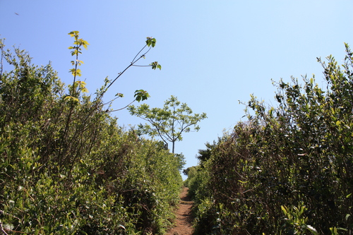 b0093515_2381932.jpg