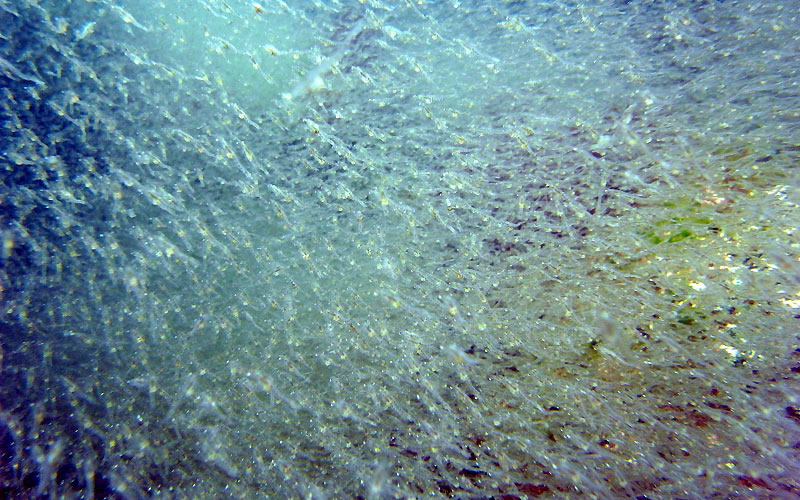 b0044726_22425410.jpg