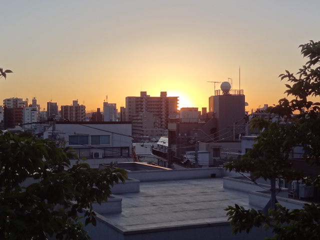 e0016828_1262246.jpg