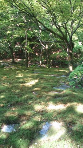 c0241434_23541099.jpg