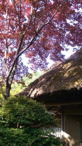 c0241434_23541493.jpg