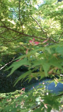c0241434_2354896.jpg