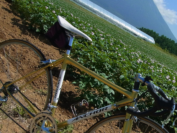 c0288736_012341.jpg