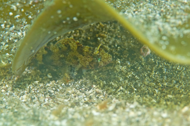 b0042837_2105219.jpg