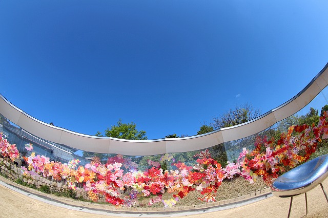 a0242438_21435899.jpg