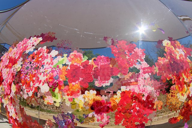a0242438_2144489.jpg