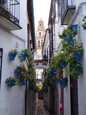 e0238838_20125135.jpg