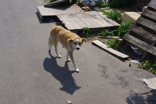 c0266644_1758163.jpg