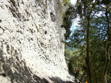 b0077448_0133911.jpg