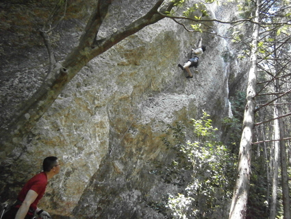 b0077448_0353255.jpg