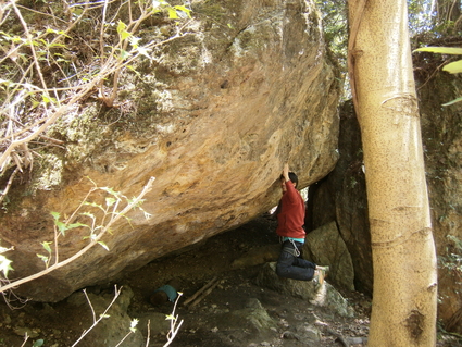b0077448_0415327.jpg